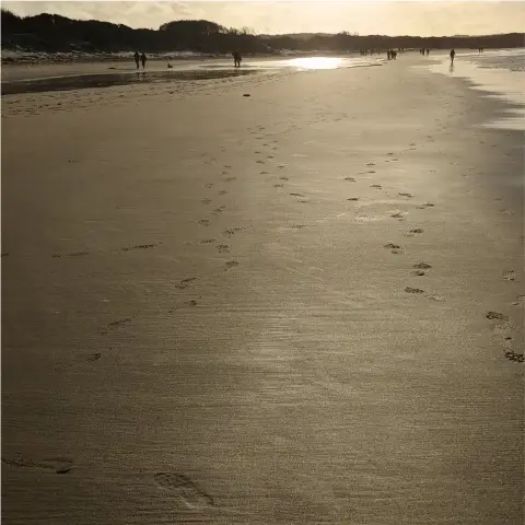 Des traces de pas sur le sable d'une plage
